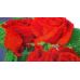 Картина вышитая бисером Розы от Пушки Натальи